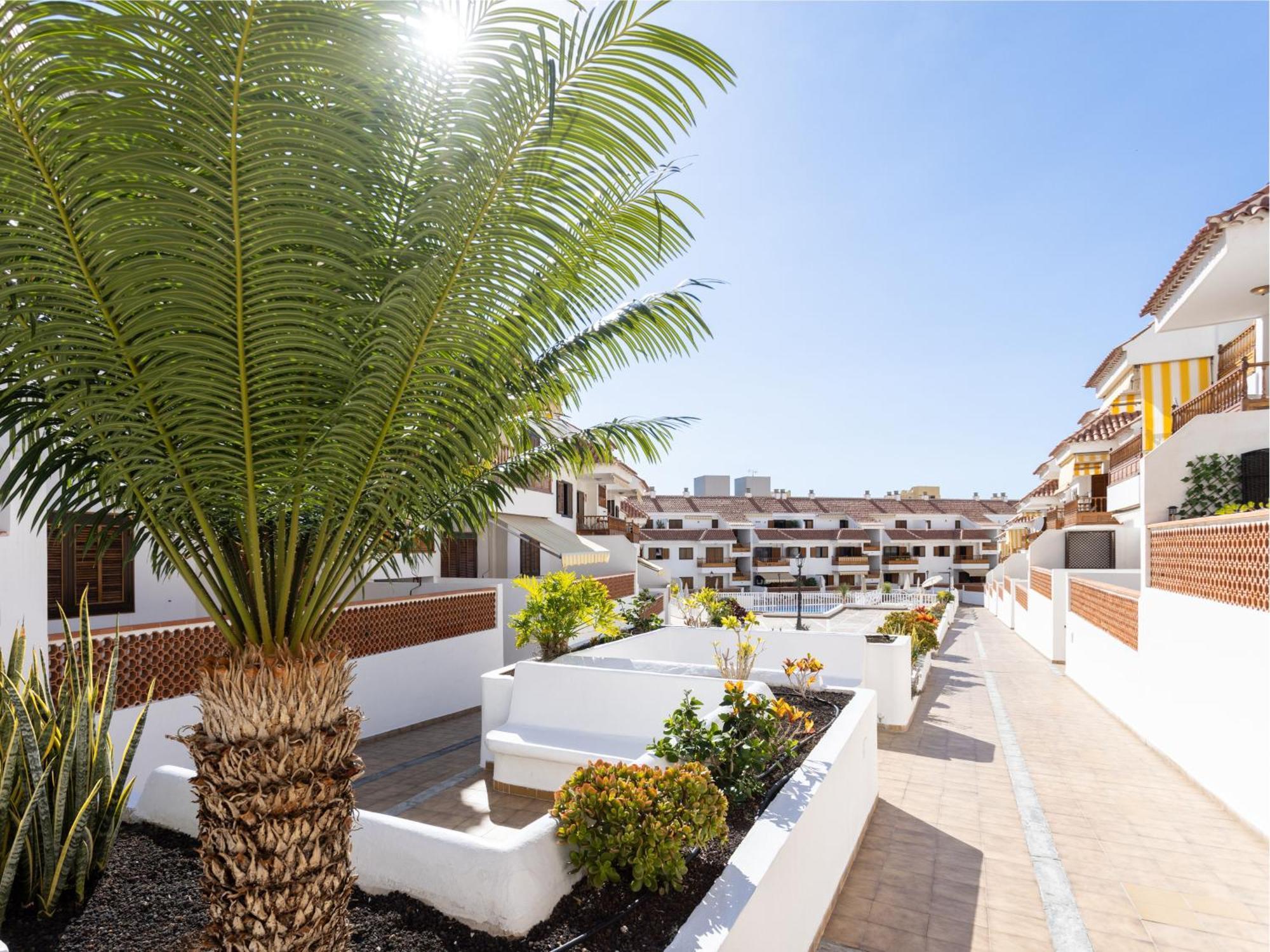 Live Cardon Las Americas Con Piscina Y Terraza Apartment อาโรนา ภายนอก รูปภาพ